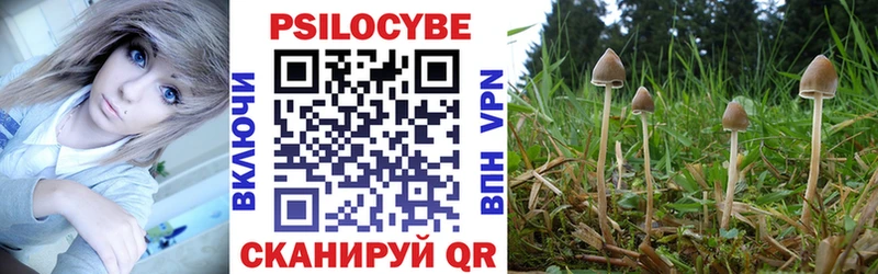 Галлюциногенные грибы Psilocybine cubensis Пудож